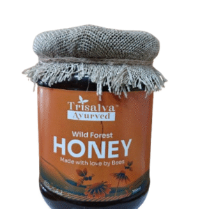 Trisatva Forest Honey | 500 GM
